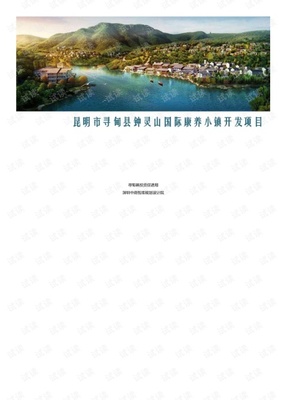 房地产营销策划 -昆明市寻甸县钟灵山国际康养小镇开发项目.pdf